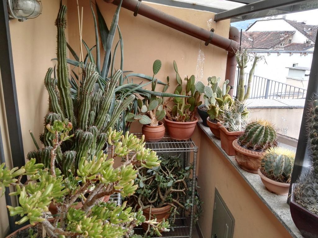 Bed and Breakfast A Casa Di Gio Турин Экстерьер фото